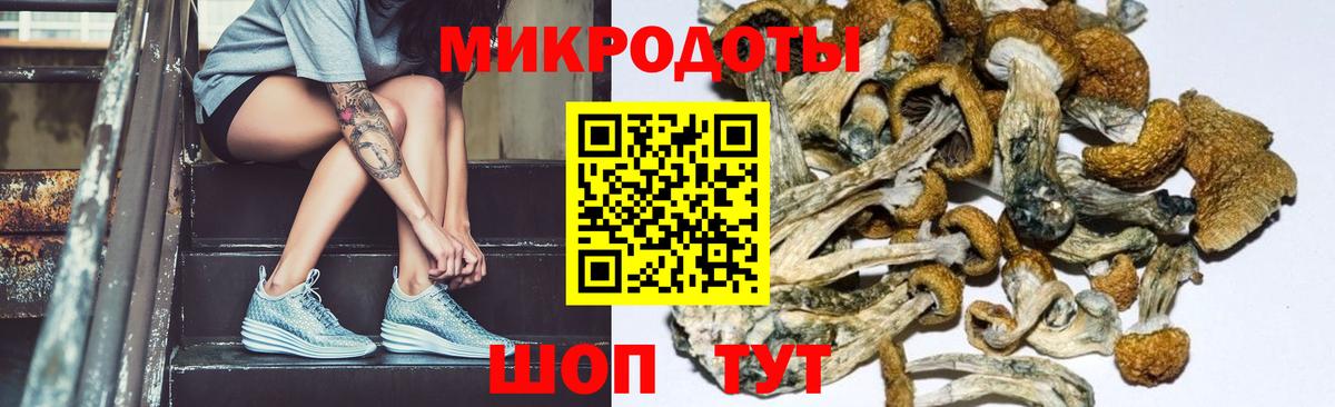 Галлюциногенные грибы GOLDEN TEACHER Клин